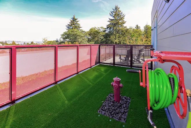 Pet relief area with artificial turf and seating at Admiral Station Apartments in West Seattle.