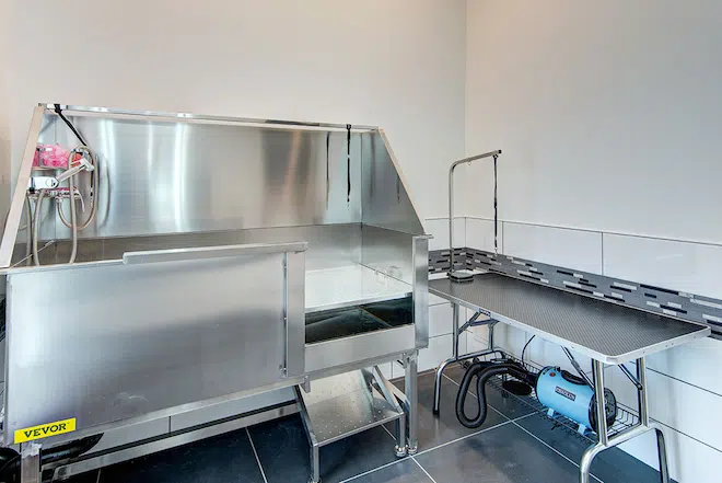 Pet wash station with grooming table and stainless steel wash tub at Admiral Station Apartments.