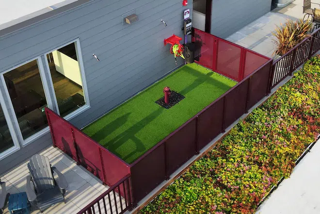 Aerial view of the pet relief area with artificial turf at Admiral Station Apartments.